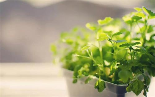 乾港集团 乾港集团